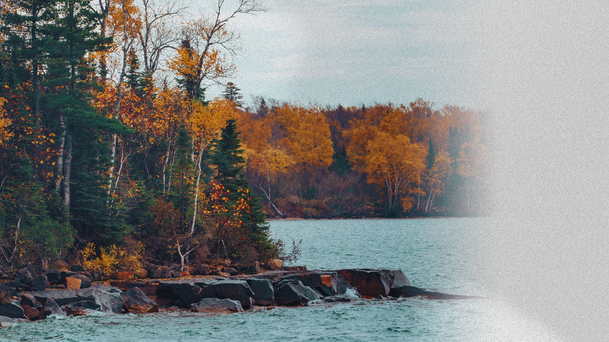 FALL 2023 Sauce Hockey